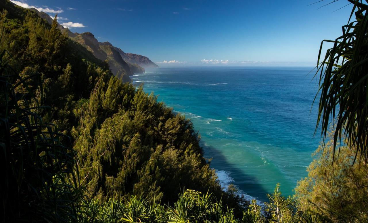 Hanalei Colony Resort - An Enhanced Movement Resort Bubble Eksteriør bilde